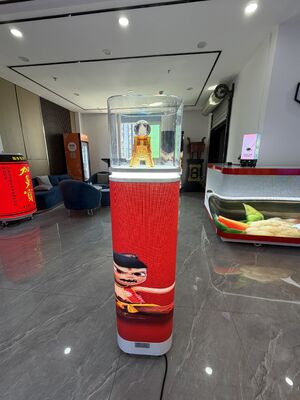 comprare Vitrina a led a temperatura controllata con regolazione precisa del clima e illuminazione energetica adatta a prodotti sensibili online manufacture